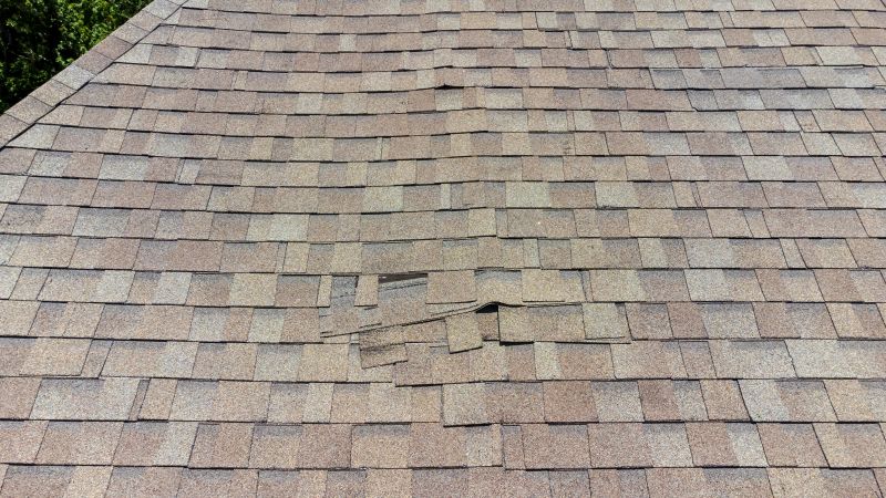 Asphalt Roof Inspection in Richland County, OH