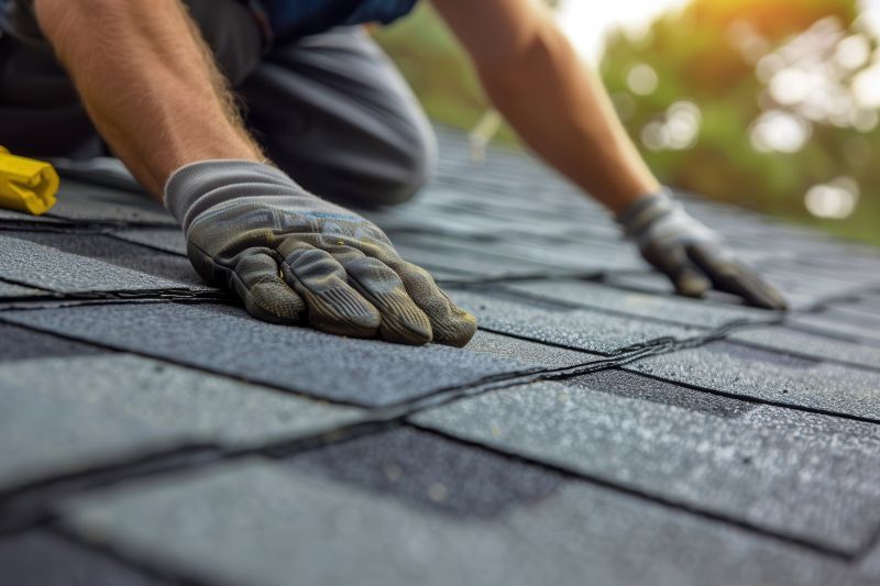 Asphalt Roof Leak Repair in Mansfield, OH