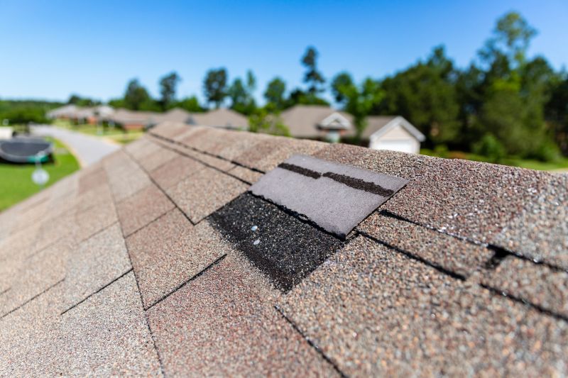Asphalt Roof Leak Repair in Waldo, OH