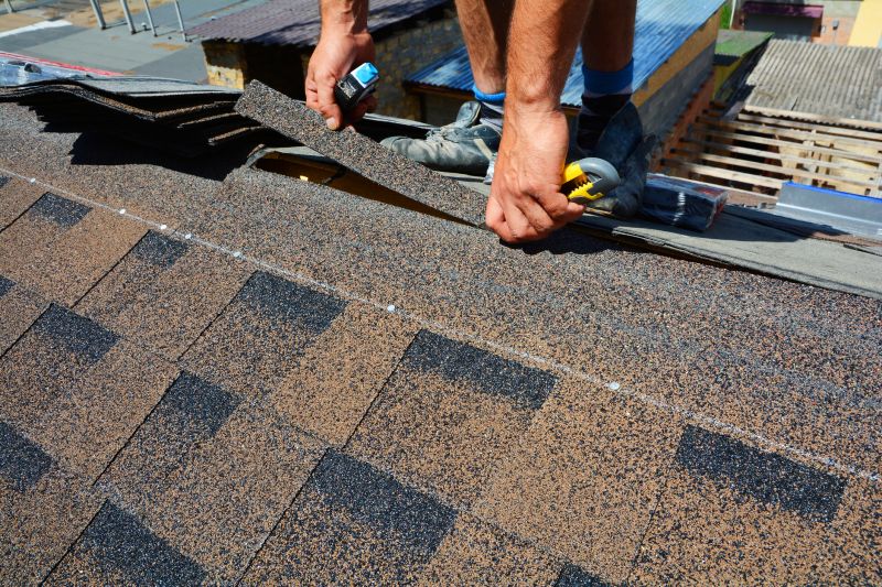 Asphalt Roof Repair in Delaware County, OH