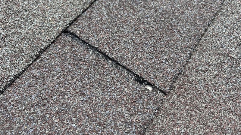 Asphalt Roof Repair in Mount Gilead, OH