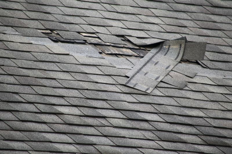 Asphalt Roof Repair in Sparta, OH