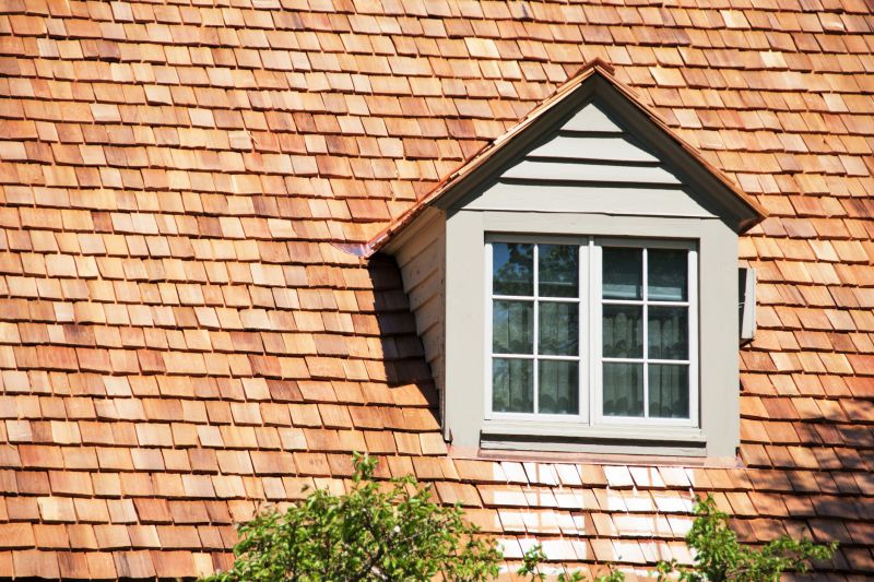 Cedar Shake Roof Repair in Morrow County, OH