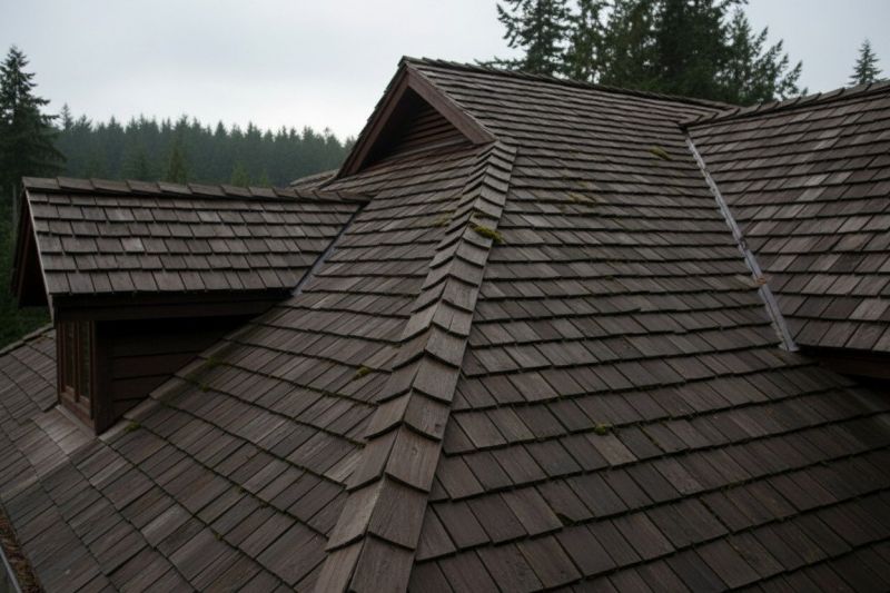 Cedar Shake Roof Replacement in Morrow County, OH