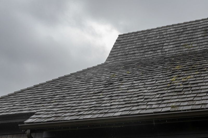 Cedar Shingles Replacement in Waldo, OH