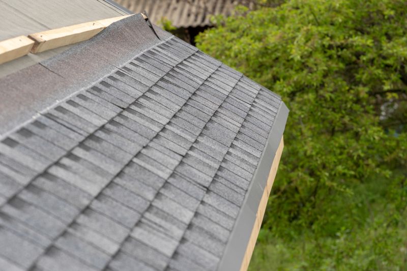 Damaged Roof Repair in Knox County, OH