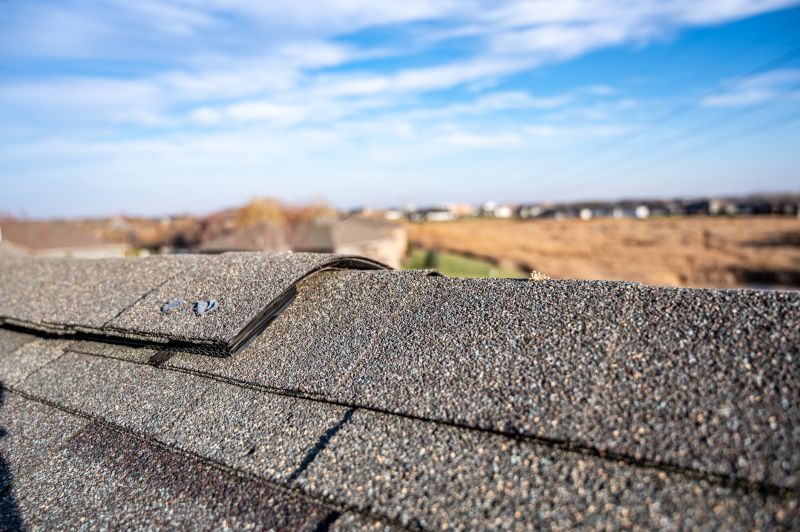 Damaged Roof Repair in Marion, OH