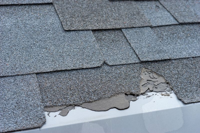 Damaged Roof Repair in Marion, OH