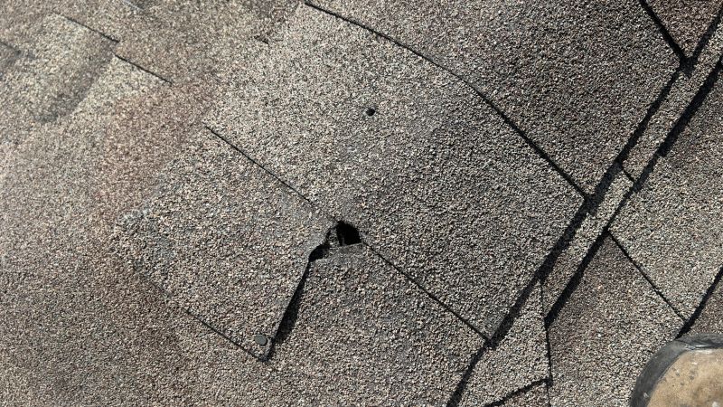Damaged Roof Repair in Mount Vernon, OH