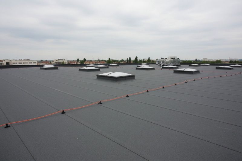 Flat Roof Replacement in Waldo, OH