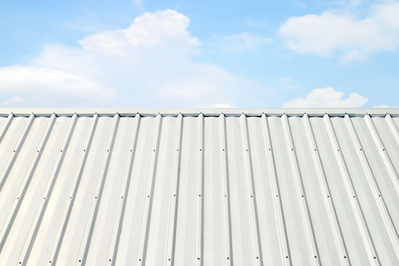 Metal Roof Coating Service in Morrow County, OH