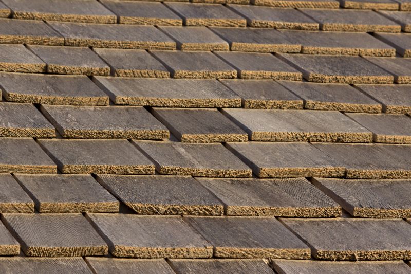Shake Shingle Repair in Delaware County, OH